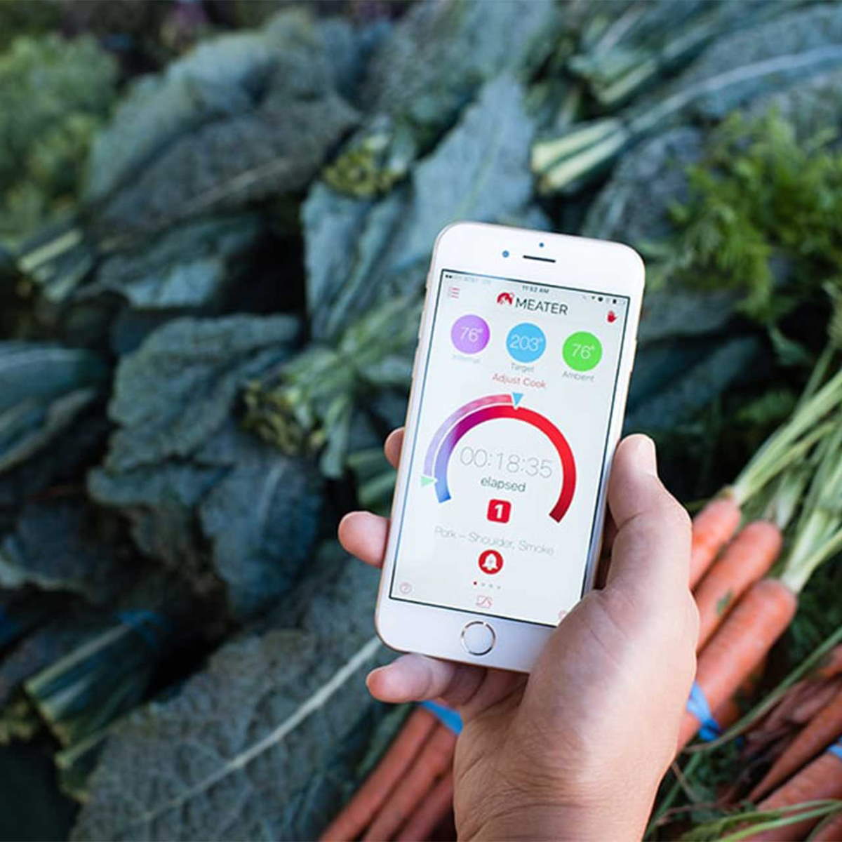 MEATER® PRO XL 4x Thermometer + WiFi Basisstation
