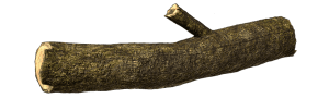 Wood Log